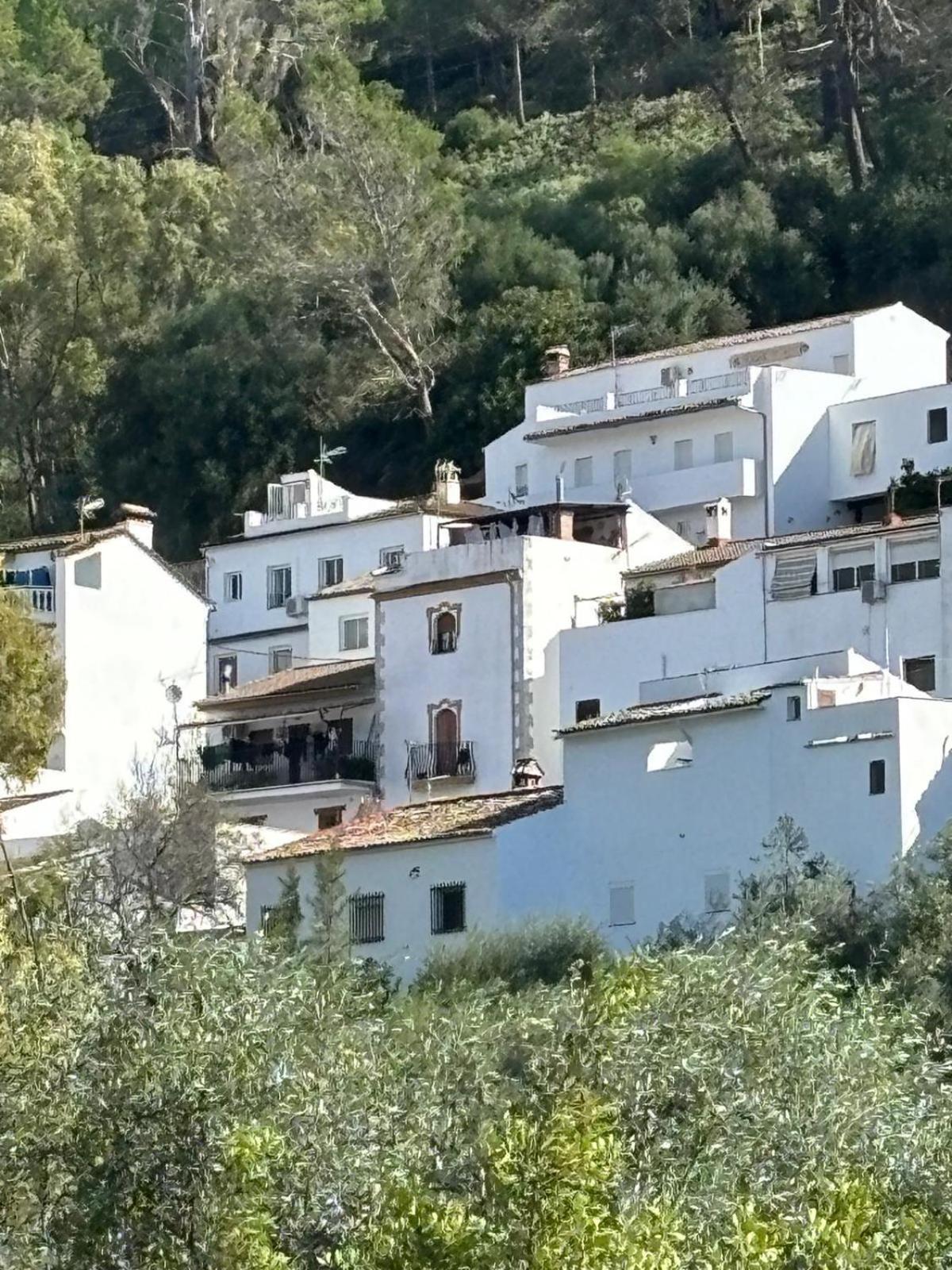 El Rincon De Las Higueras El Bosque Esterno foto