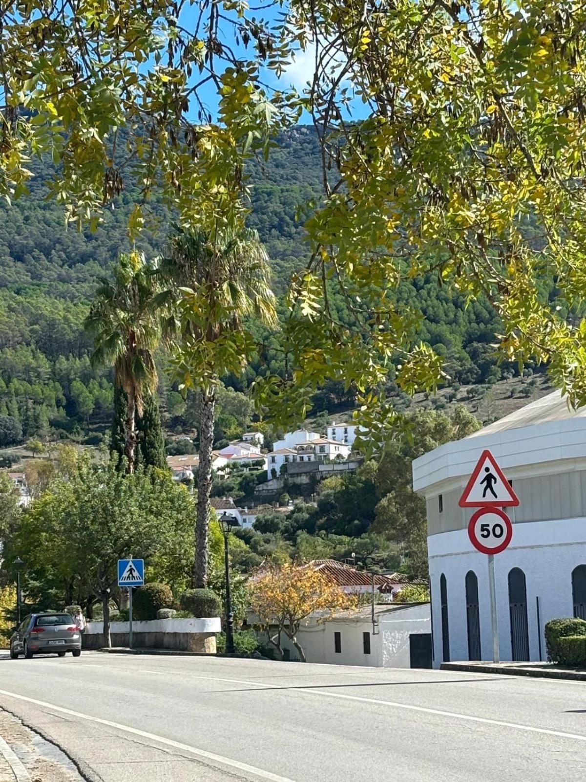 El Rincon De Las Higueras El Bosque Esterno foto
