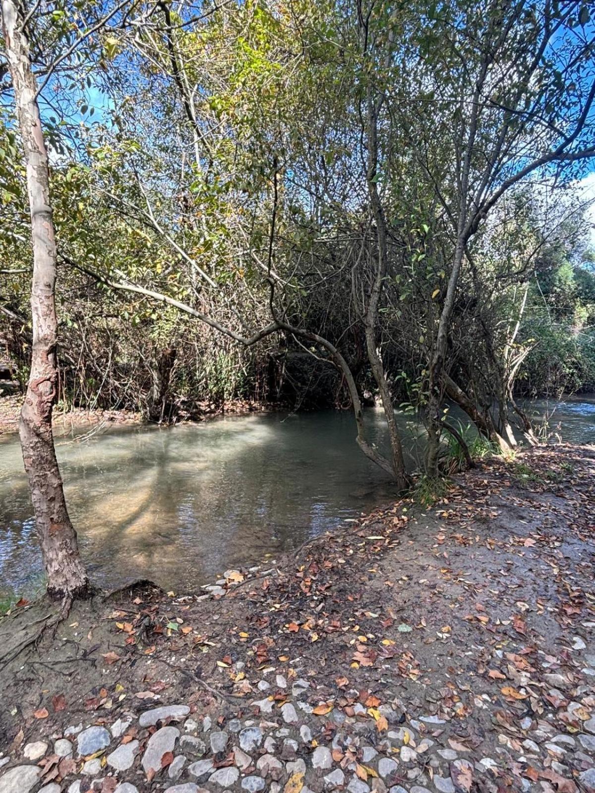El Rincon De Las Higueras El Bosque Esterno foto