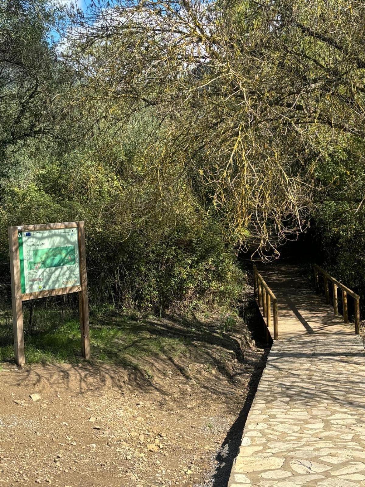 El Rincon De Las Higueras El Bosque Esterno foto