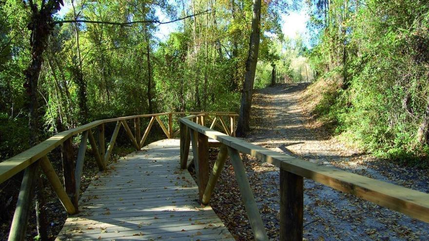 El Rincon De Las Higueras El Bosque Esterno foto